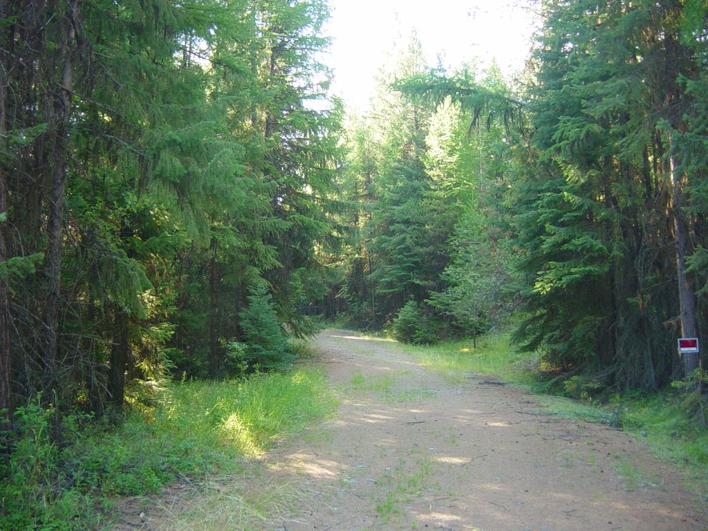 NHN Lot 10 Davis Creek Road, Libby, MT 59923 photo 3