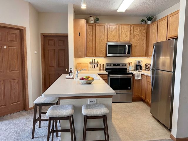 14701 Cobalt Street NW 15, Anoka, MN 55303