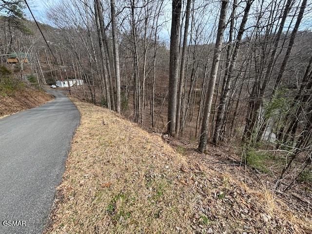 lots 444 a Sky View, Sevierville, TN 37876