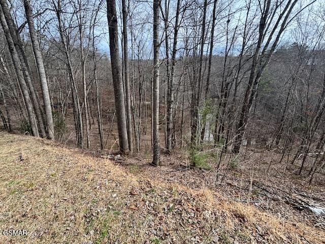 lots 444 a Sky View, Sevierville, TN 37876