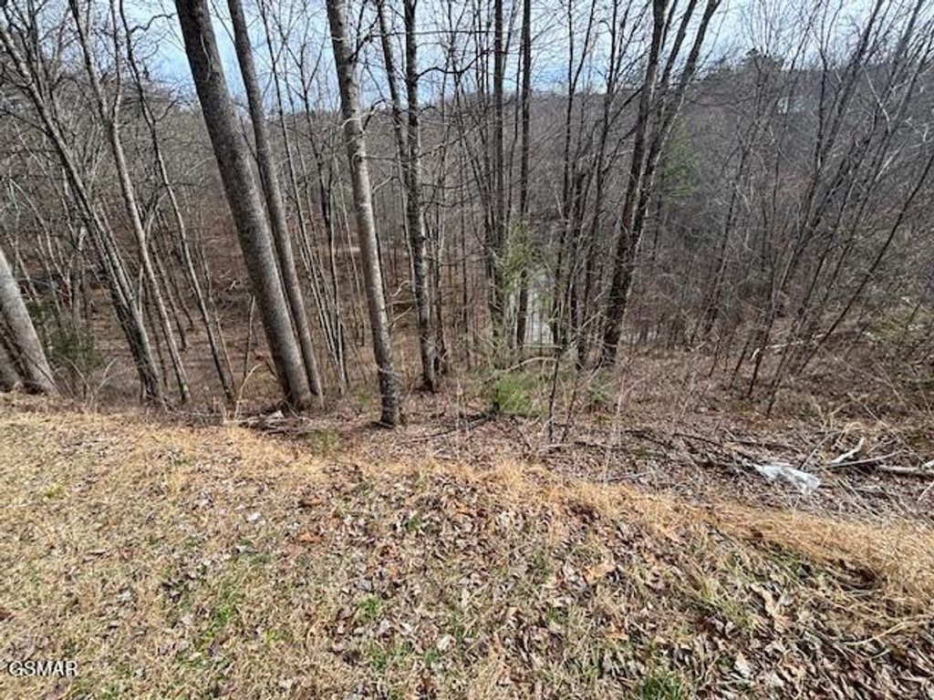 lots 444 a Sky View, Sevierville, TN 37876