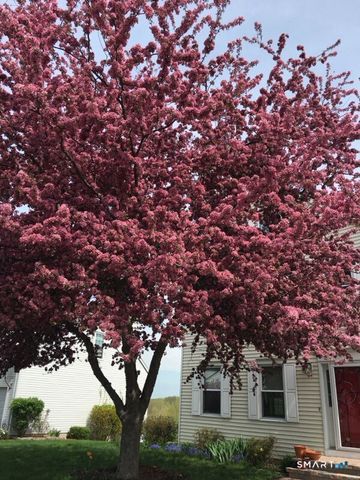 58 Morning Glory Drive, Middletown, CT 06457