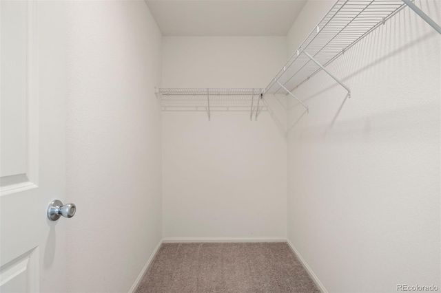 1245 Shale Way, Erie, CO 80516
