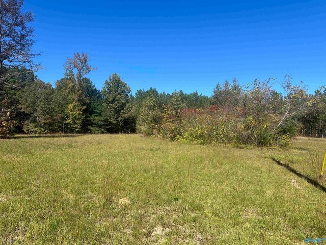 505 County Road 901, Cedar Bluff, AL 35959