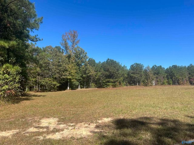 505 County Road 901, Cedar Bluff, AL 35959
