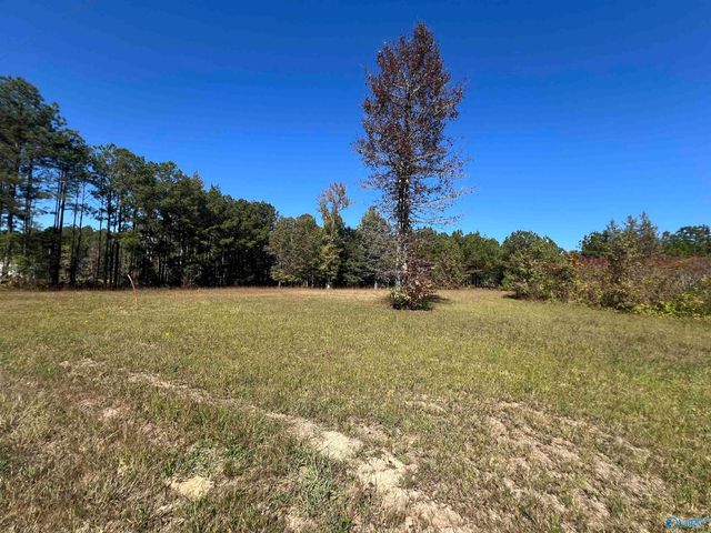 505 County Road 901, Cedar Bluff, AL 35959