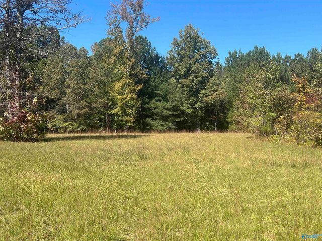 505 County Road 901, Cedar Bluff, AL 35959