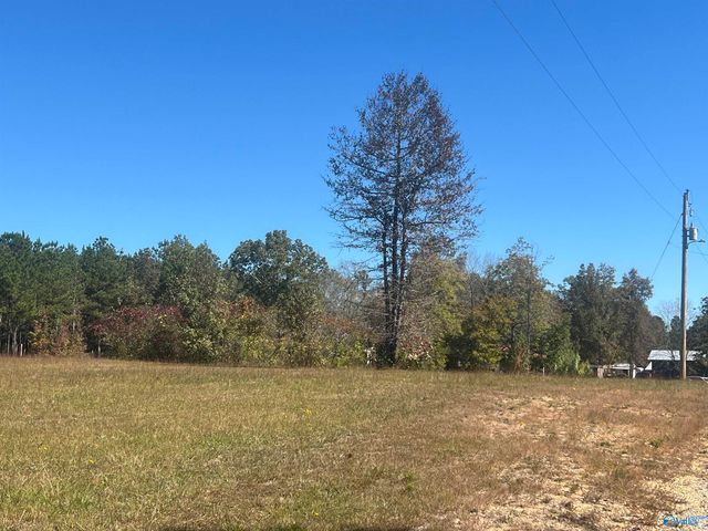505 County Road 901, Cedar Bluff, AL 35959