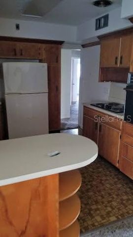 10209 N VALLE DRIVE, Tampa, FL 33612