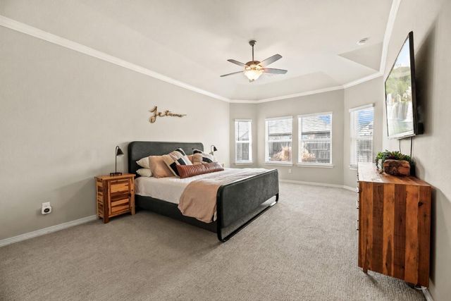 9019 Stanley Oak Drive, Missouri City, TX 77459