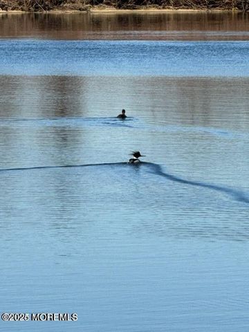 9 Sandpiper Lane, Sea Bright, NJ 07760