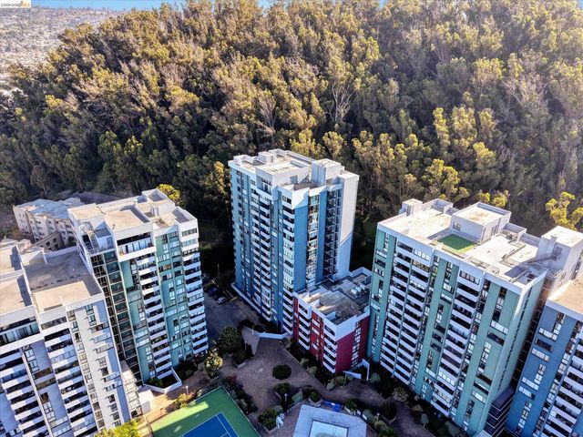 555 Pierce St 520, Albany, CA 94706