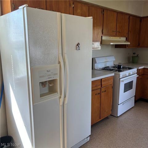 224 S Leavitt Road, Amherst, OH 44001