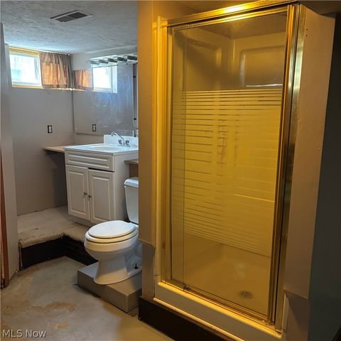 224 S Leavitt Road, Amherst, OH 44001