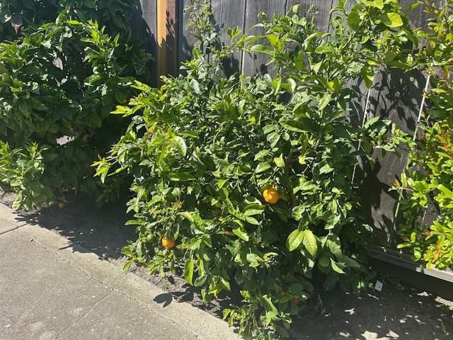 710 Campus Avenue, Salinas, CA 93901