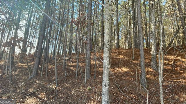 0 Shannon Parkway, Union City, GA 30291