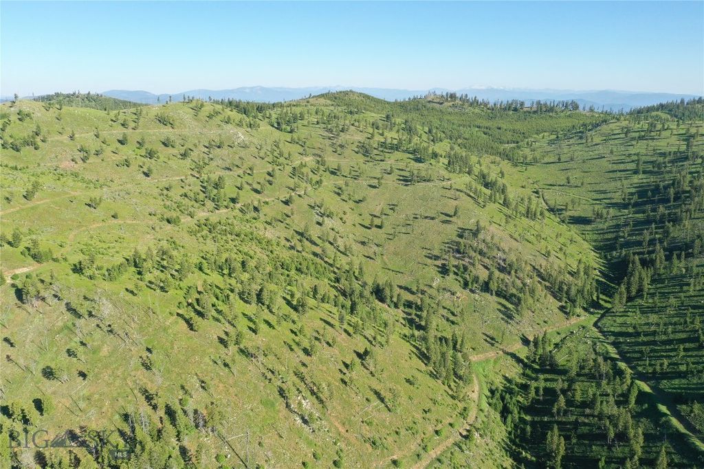 1,2,3,16 Garnet Range, Drummond, MT 59832 photo 3