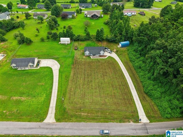 183 FOWLER SPRINGS ROAD, Blountsville, AL 35031