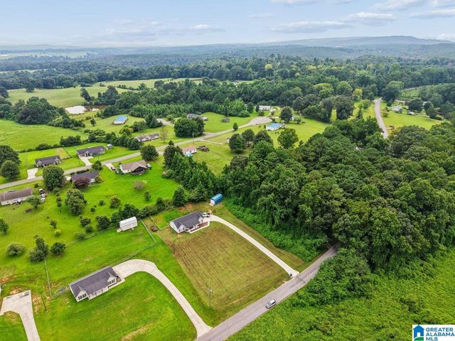 183 FOWLER SPRINGS ROAD, Blountsville, AL 35031