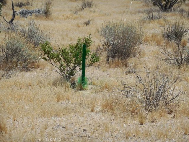 22000 Cattleman, Lucerne Valley, CA 92356