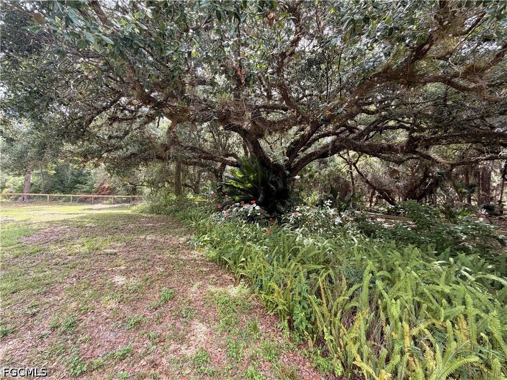 18251 Persimmon Ridge RD, Alva, FL 33920