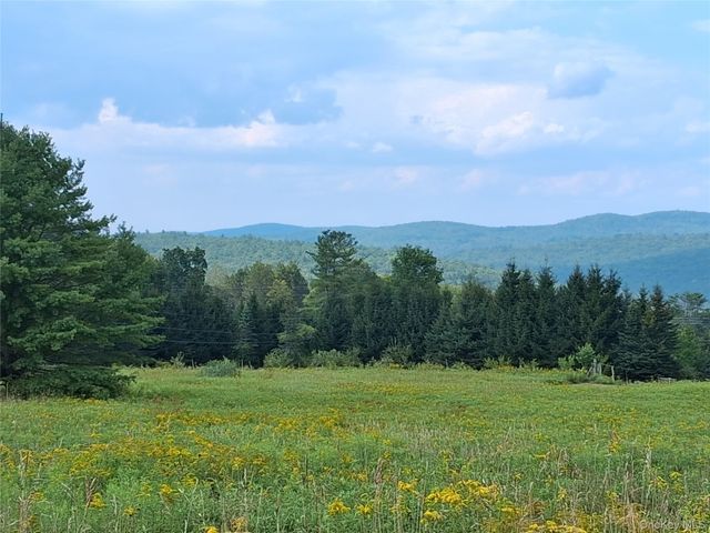 66 Milton Smith Road, Long Eddy, NY 12760