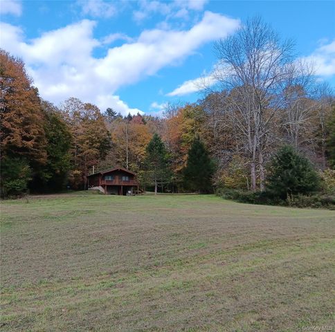 66 Milton Smith Road, Long Eddy, NY 12760