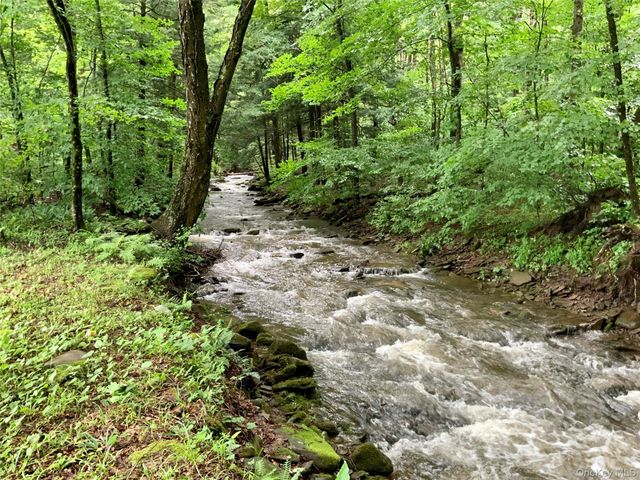 66 Milton Smith Road, Long Eddy, NY 12760