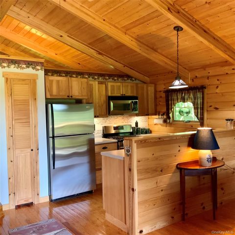 66 Milton Smith Road, Long Eddy, NY 12760