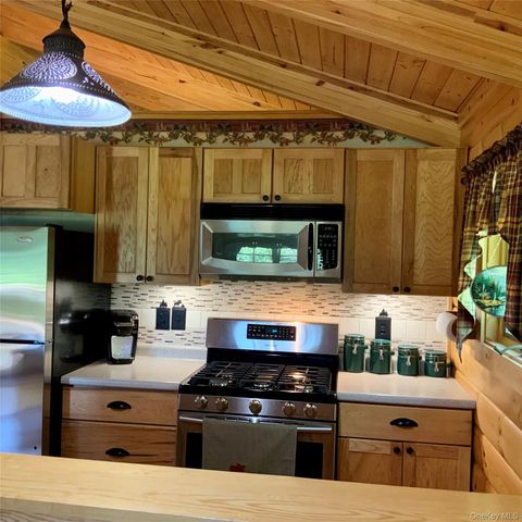 66 Milton Smith Road, Long Eddy, NY 12760