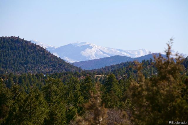 530 & 592 Red Feather Road, Cotopaxi, CO 81223