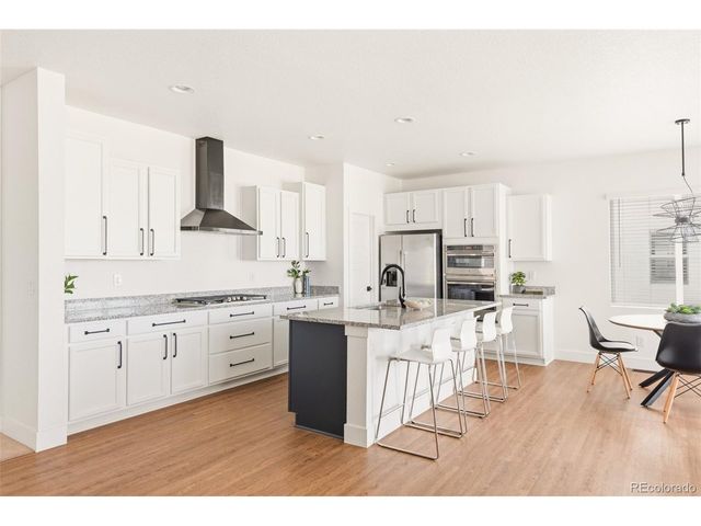 5679 Saddle Skirt St, Parker, CO 80134