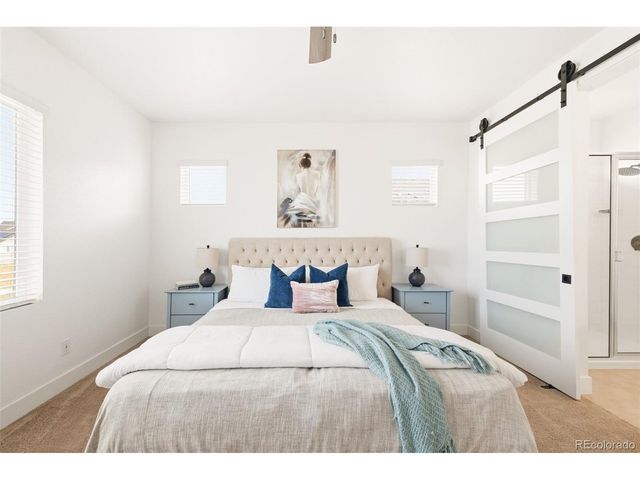 5679 Saddle Skirt St, Parker, CO 80134
