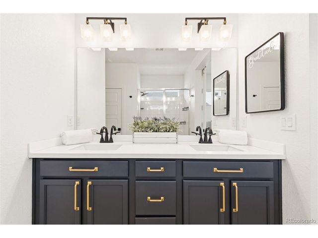 5679 Saddle Skirt St, Parker, CO 80134