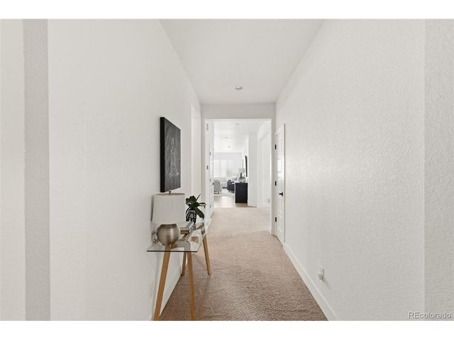 5679 Saddle Skirt St, Parker, CO 80134