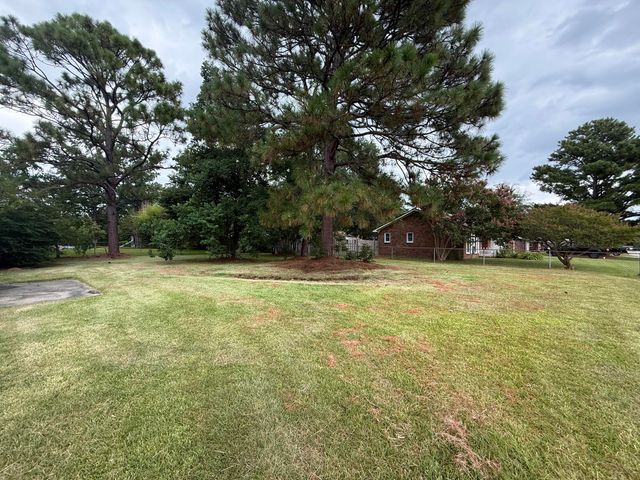 209 Longstreet Street, Summerville, SC 29486