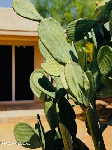 10080 E Paseo De La Masada, Tucson, AZ 85747