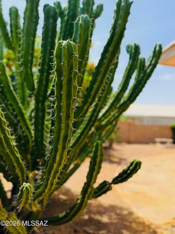 10080 E Paseo De La Masada, Tucson, AZ 85747