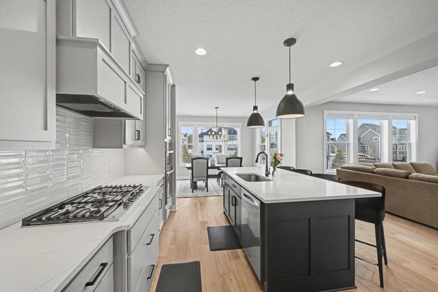 6408 Red Cedar Drive, Chaska, MN 55318