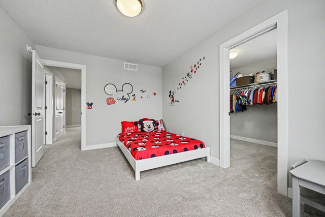 6408 Red Cedar Drive, Chaska, MN 55318