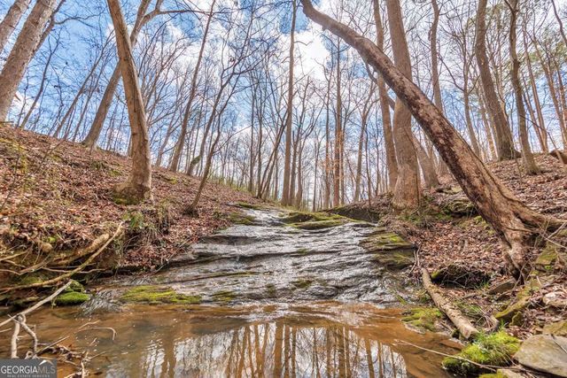 1498 Pinyan Lane, Canton, GA 30115