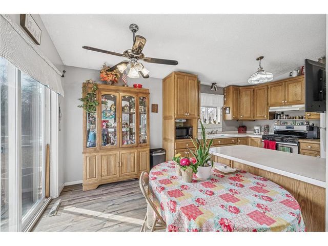 480 245th Avenue, Bethel, MN 55005