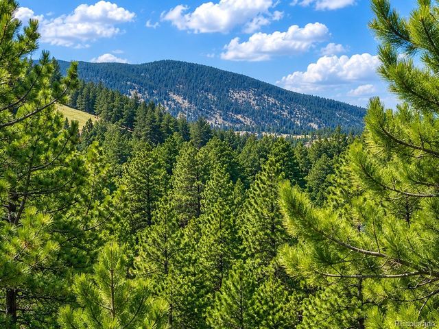 5091 S Olive Road, Evergreen, CO 80439