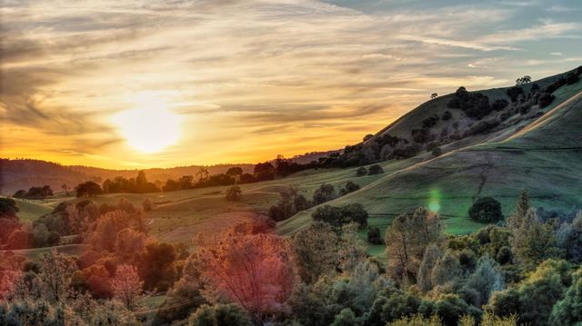 1111 Scott Rd, Coloma, CA 95613