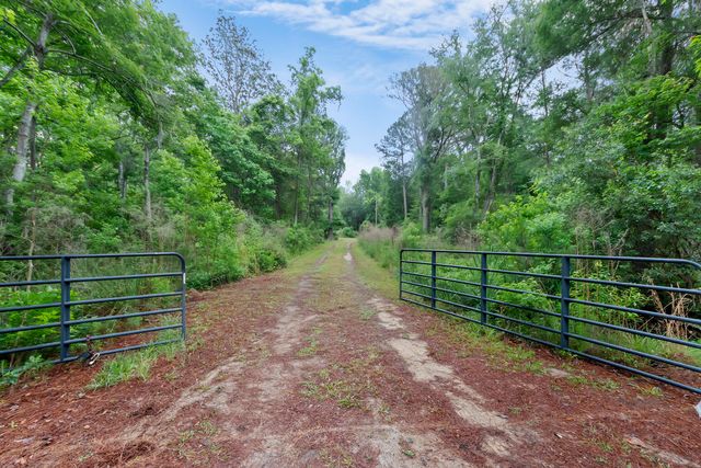 7855 Mary Seabrook Road, Edisto Island, SC 29438