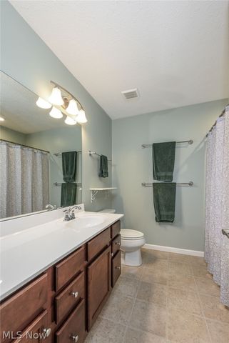 3564 Shady Timber Drive, Twinsburg, OH 44087