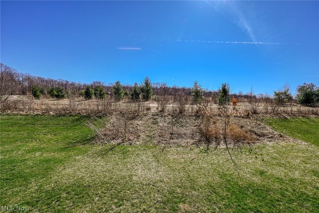 3564 Shady Timber Drive, Twinsburg, OH 44087