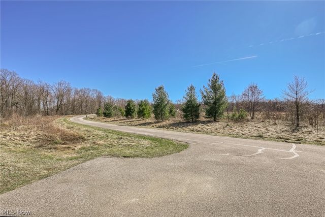 3564 Shady Timber Drive, Twinsburg, OH 44087