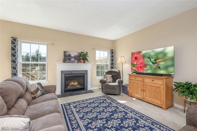 3564 Shady Timber Drive, Twinsburg, OH 44087