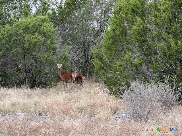 TBD Private Road 4719 Road 4719, Kempner, TX 76539